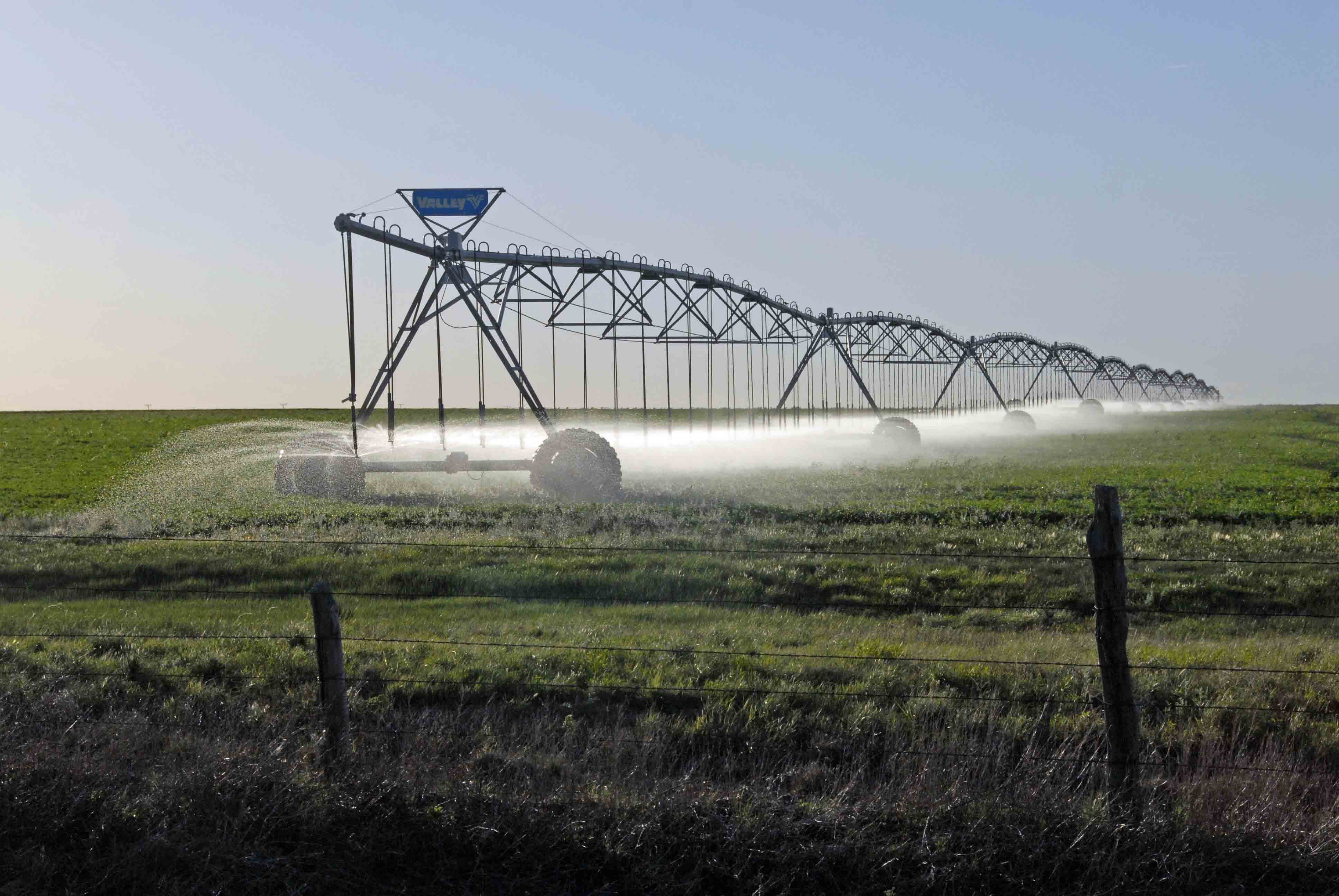 Irrigating a Texas cotton field