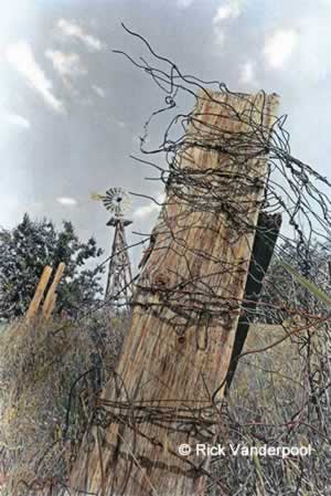 weathered fence post and windmill